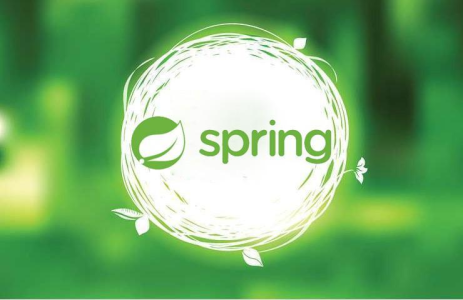 Detailed explanation of obtaining request parameters in SpringMVC